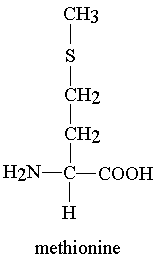 methionine amino acid homocystinuria nonpolar side acids structure sulfur chain aliphatic chains glossary group